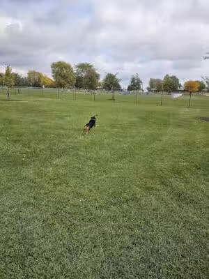 Dogwood Acres Dog Park - Sterling,