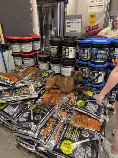 Off Leash K9 Training, Loudoun County - Sterling, VA