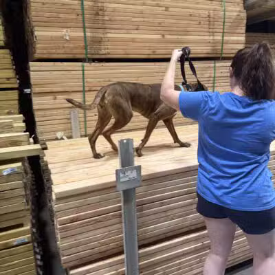 Off Leash K9 Training, Loudoun County - Sterling, VA