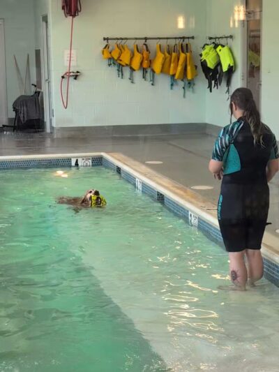 Olde Towne Pet Resort - Sterling, VA