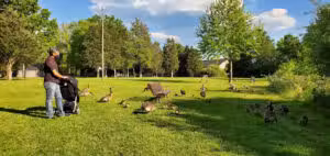 Claude Moore Park Visitor Center - Sterling, VA