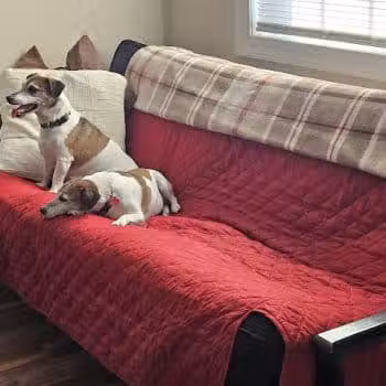 Quailview Kennel - Stevensburg, VA