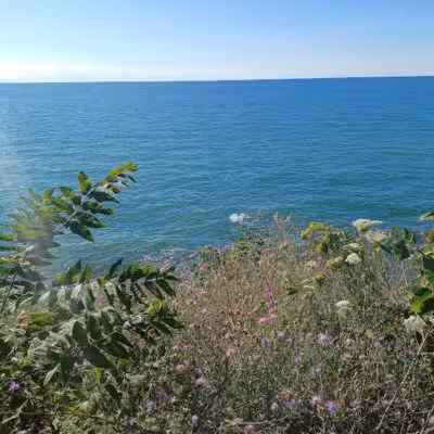 Glenlord Beach Park - Stevensville,
