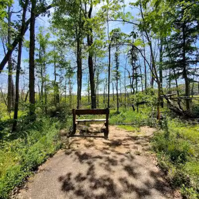 Grand Mere State Park - Stevensville,