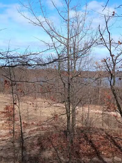 Grand Mere State Park - Stevensville,