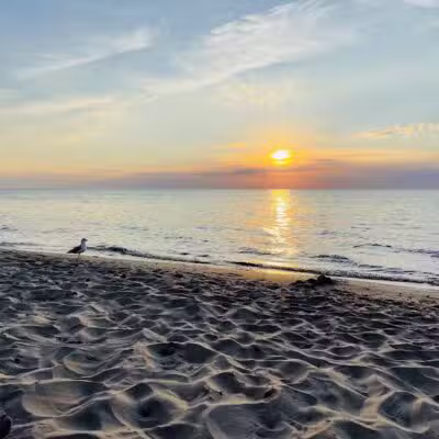 Grand Mere State Park - Stevensville,