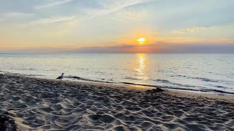 Grand Mere State Park - Stevensville,