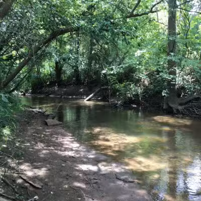Hickory Creek Park - Stevensville,