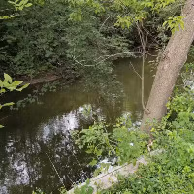Hickory Creek Park - Stevensville,
