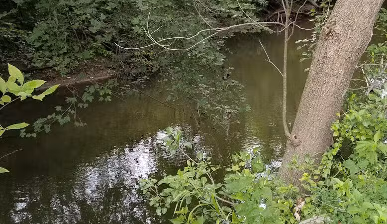 Hickory Creek Park - Stevensville,