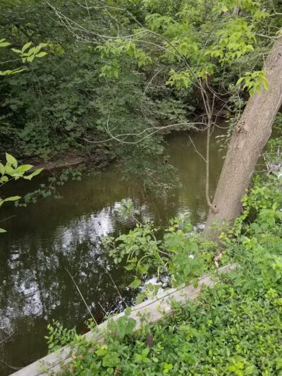 Hickory Creek Park - Stevensville,