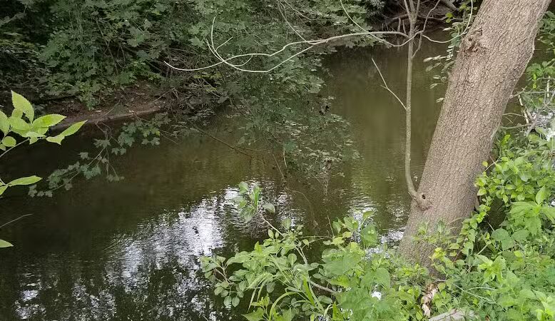 Hickory Creek Park - Stevensville,