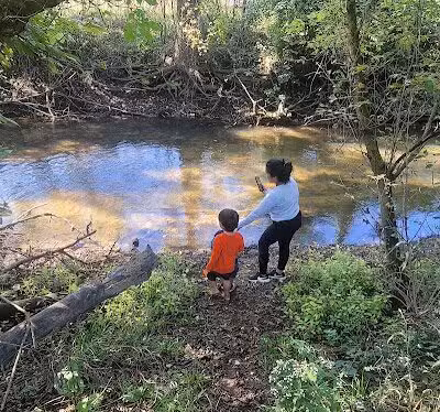 Hickory Creek Park - Stevensville,