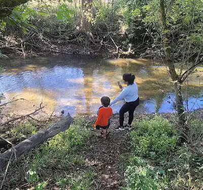 Hickory Creek Park - Stevensville,