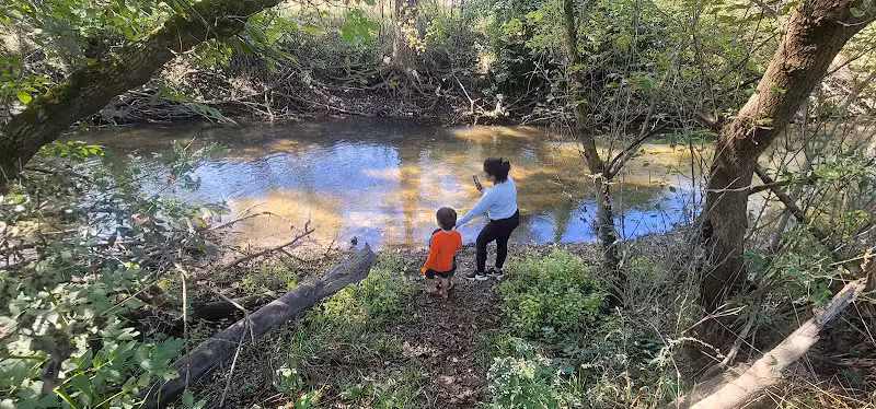 Hickory Creek Park - Stevensville,