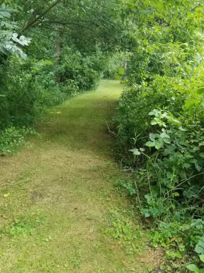 Hickory Creek Park - Stevensville,