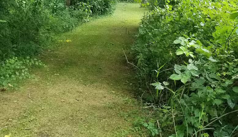 Hickory Creek Park - Stevensville,