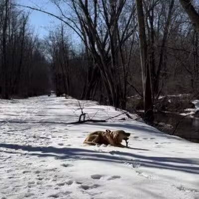 Jung Memorial Nature Area and Trail - Stevensville,