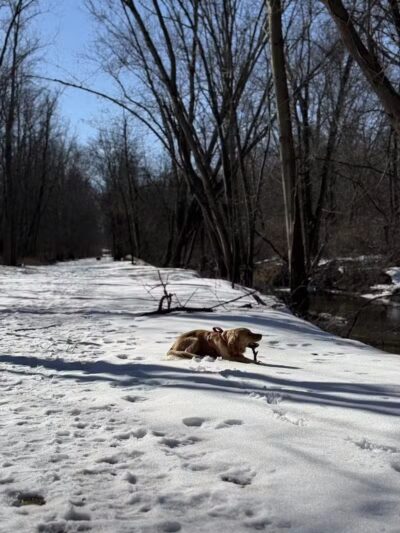 Jung Memorial Nature Area and Trail - Stevensville,