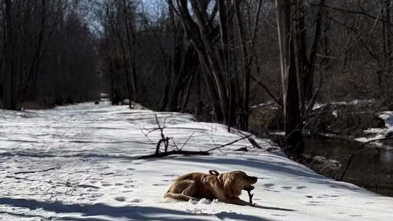 Jung Memorial Nature Area and Trail - Stevensville,