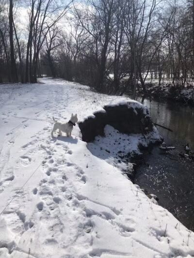 Jung Memorial Nature Area and Trail - Stevensville,