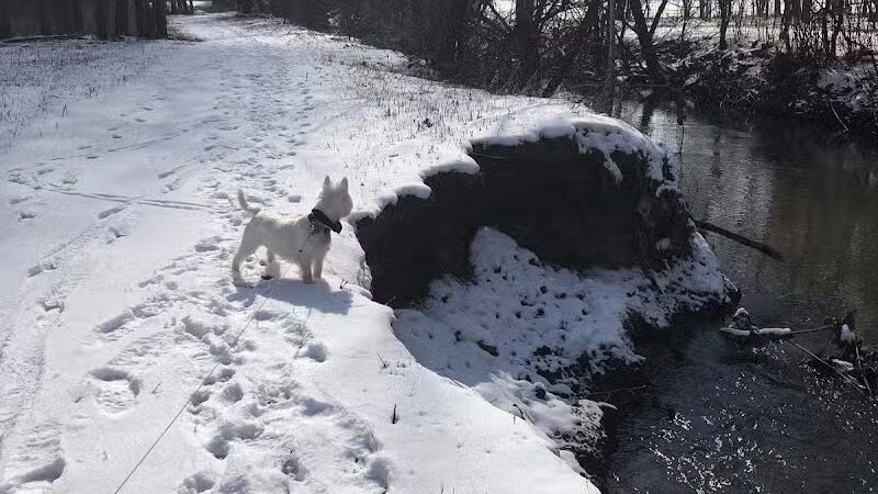Jung Memorial Nature Area and Trail - Stevensville,
