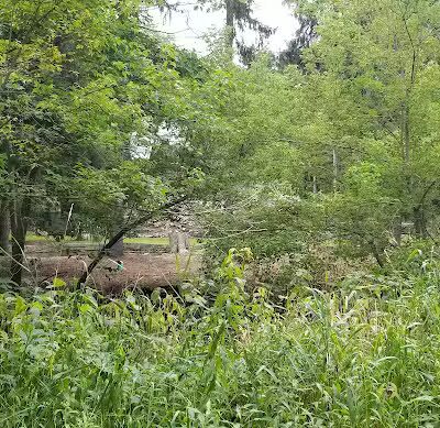 Jung Memorial Nature Area and Trail - Stevensville,