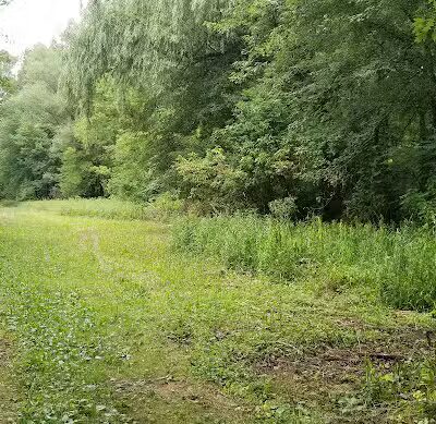 Jung Memorial Nature Area and Trail - Stevensville,