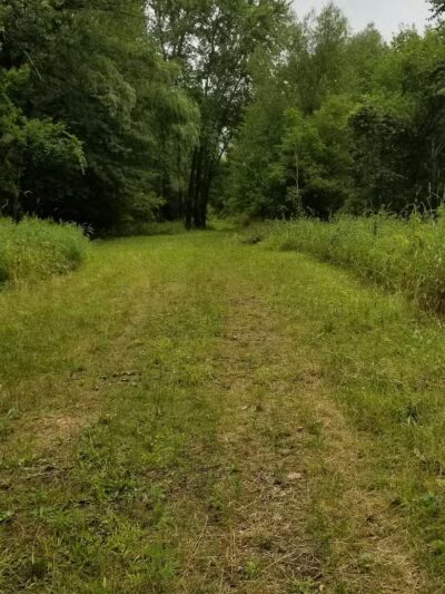 Jung Memorial Nature Area and Trail - Stevensville,