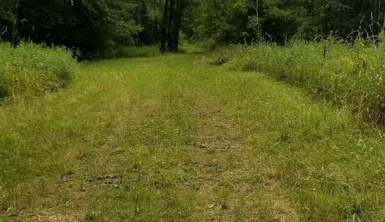 Jung Memorial Nature Area and Trail - Stevensville,