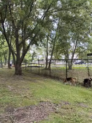 Island Dog Park - Stevensville, MD