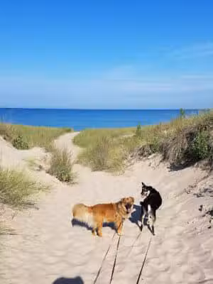 Grand Mere State Park - Stevensville,