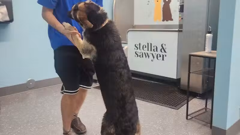 Stella & Sawyer Self Serve Dog Wash - Stevensville,