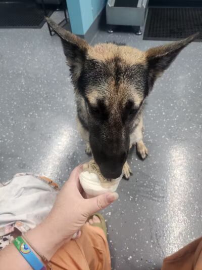 Stella & Sawyer Self Serve Dog Wash - Stevensville,