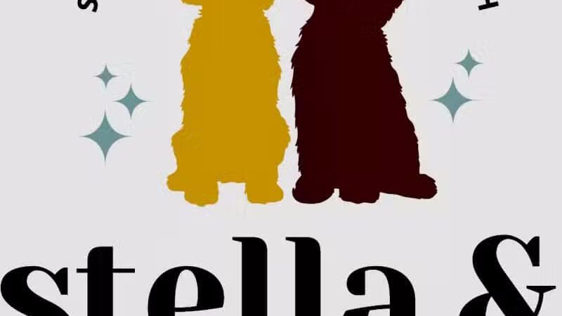 Stella & Sawyer Self Serve Dog Wash - Stevensville,