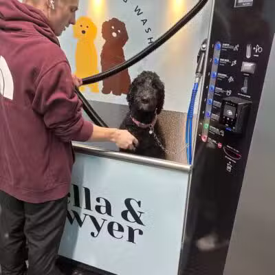 Stella & Sawyer Self Serve Dog Wash - Stevensville,