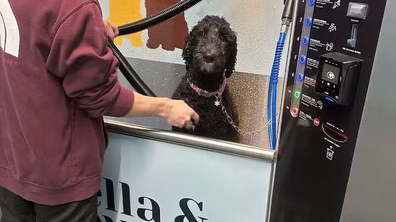 Stella & Sawyer Self Serve Dog Wash - Stevensville,