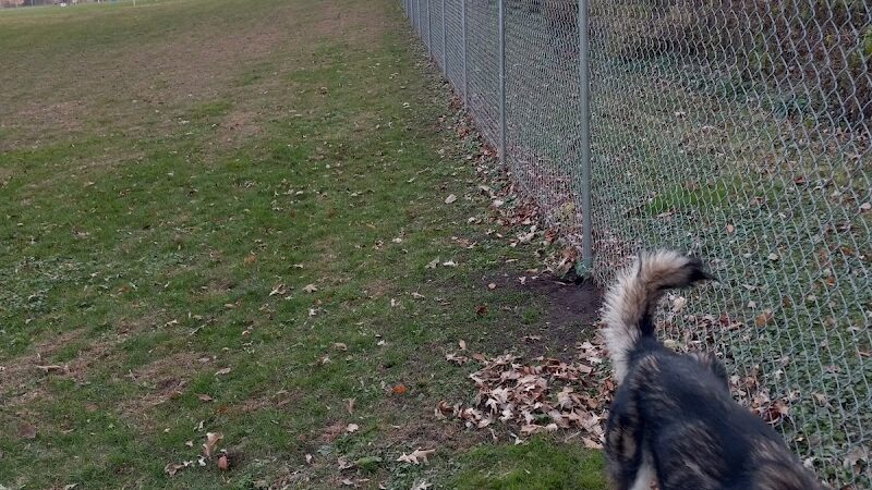 Stewartville Dog Park - Stewartville, MN