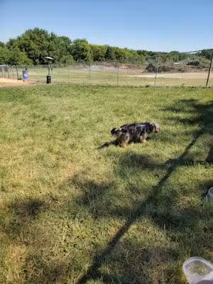 Stewartville Dog Park - Stewartville, MN
