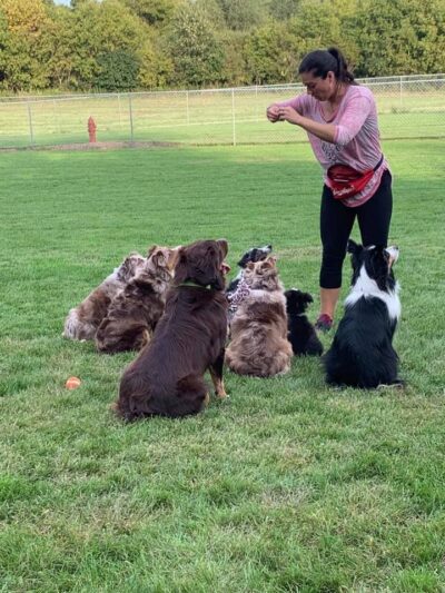 Stewartville Dog Park - Stewartville, MN