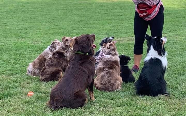 Stewartville Dog Park - Stewartville, MN