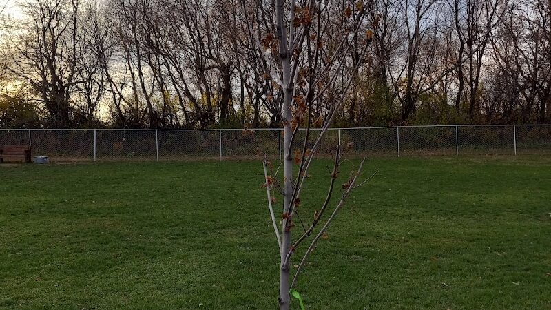 Stewartville Dog Park - Stewartville, MN