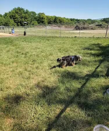 Stewartville Dog Park - Stewartville, MN