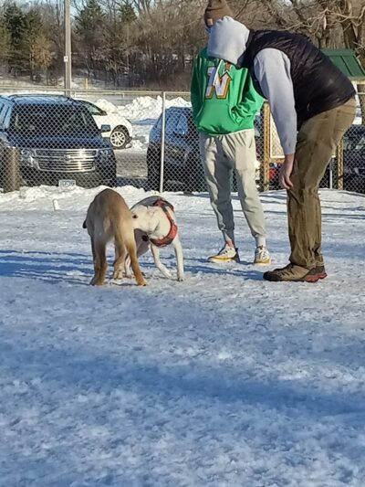 Stillwater MN Dog Park - Stillwater, MN
