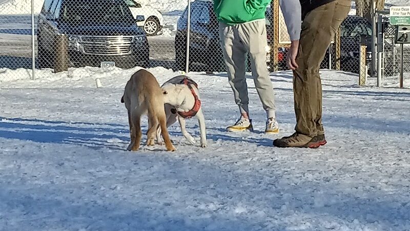 Stillwater MN Dog Park - Stillwater, MN