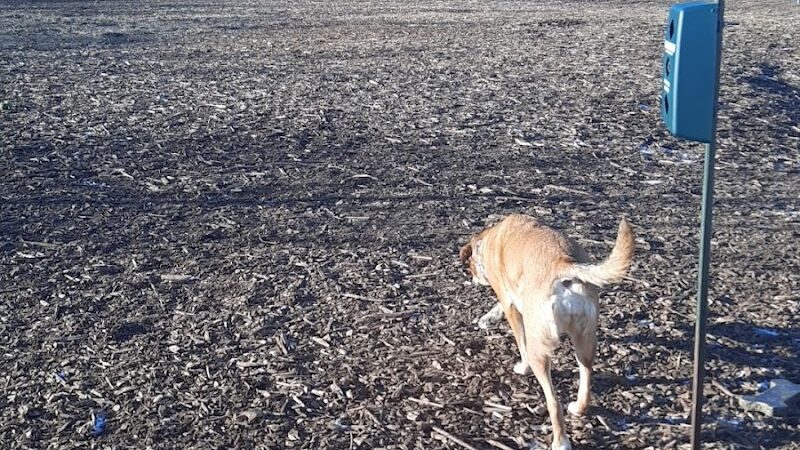 Stillwater MN Dog Park - Stillwater, MN