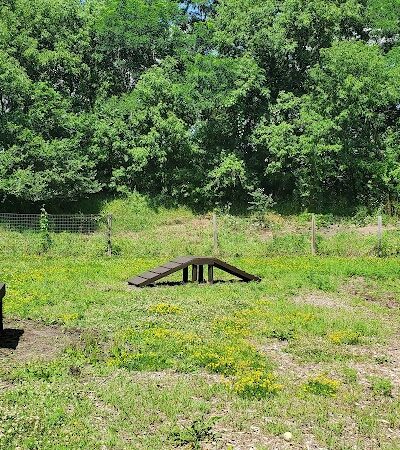 Stillwater MN Dog Park - Stillwater, MN