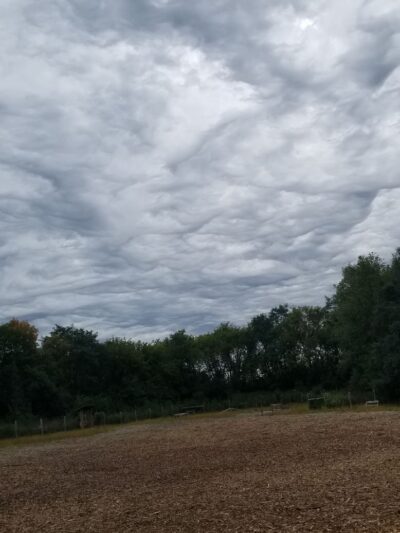 Stillwater MN Dog Park - Stillwater, MN