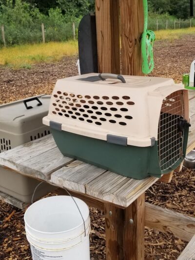 Stillwater MN Dog Park - Stillwater, MN