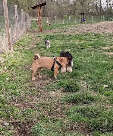 Stillwater MN Dog Park - Stillwater, MN
